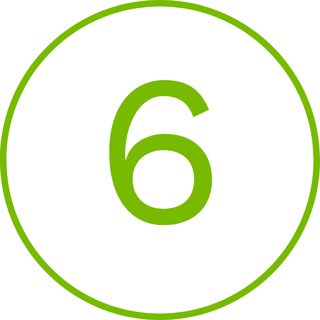 6 icon